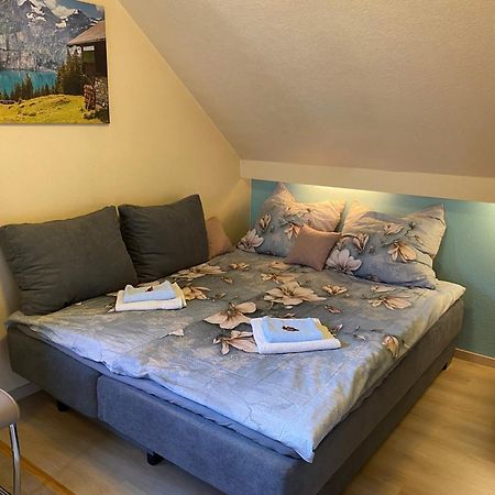 Birkenstuebchen Apartment Lautenthal Exterior foto