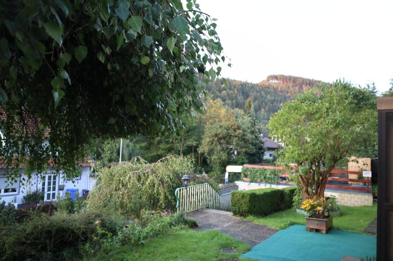 Birkenstuebchen Apartment Lautenthal Exterior foto