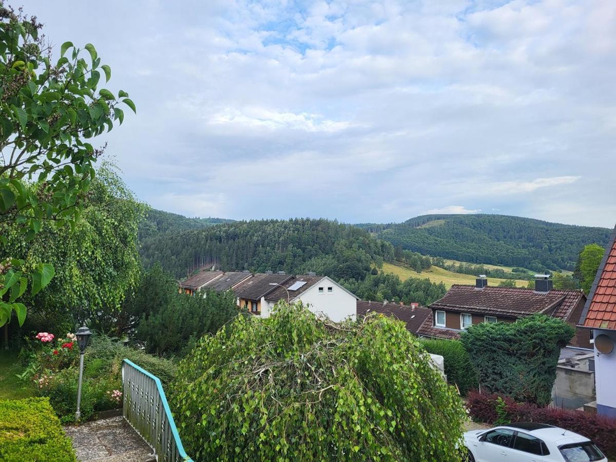 Birkenstuebchen Apartment Lautenthal Exterior foto