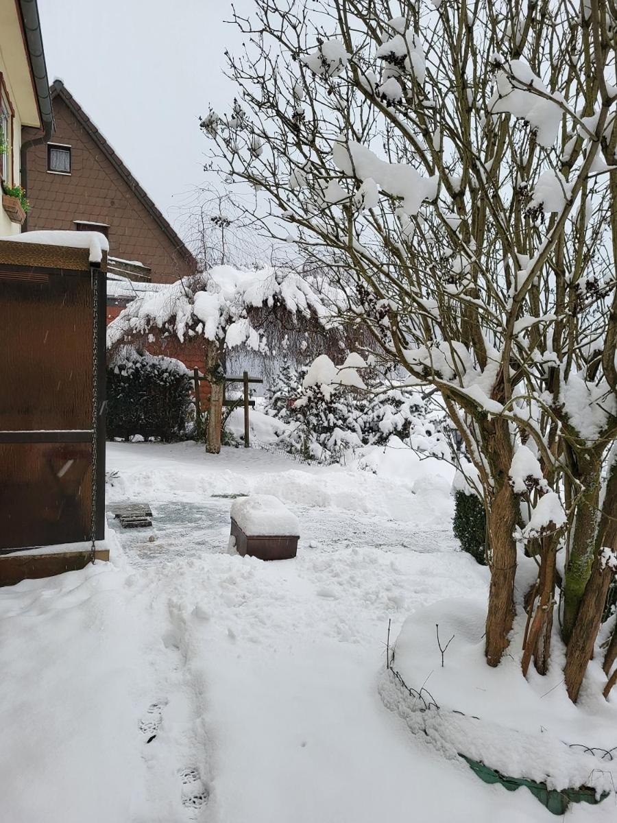 Birkenstuebchen Apartment Lautenthal Exterior foto